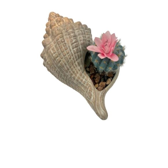 Handmade seashell letter I with a shell planter - Picture 3 of 13
